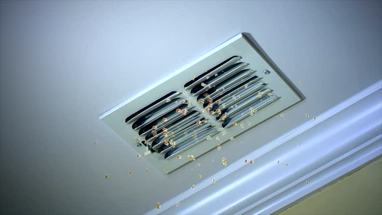 Best Affordable Duct Cleaning Services  in Fort Myers Beach, FL