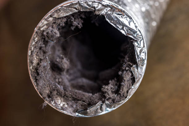 Best Ductwork Cleaning Services  in Fort Myers Beach, FL