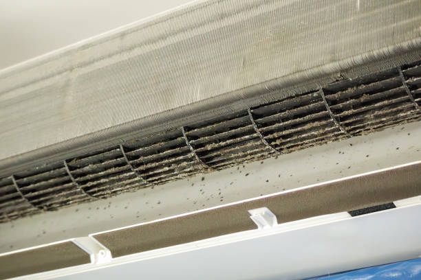 Best Air Duct Cleaning Near Me  in Fort Myers Beach, FL